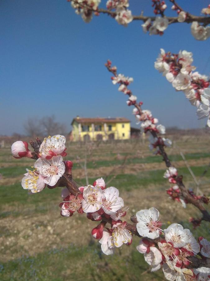 Apartamento La Crosona Colà Exterior foto
